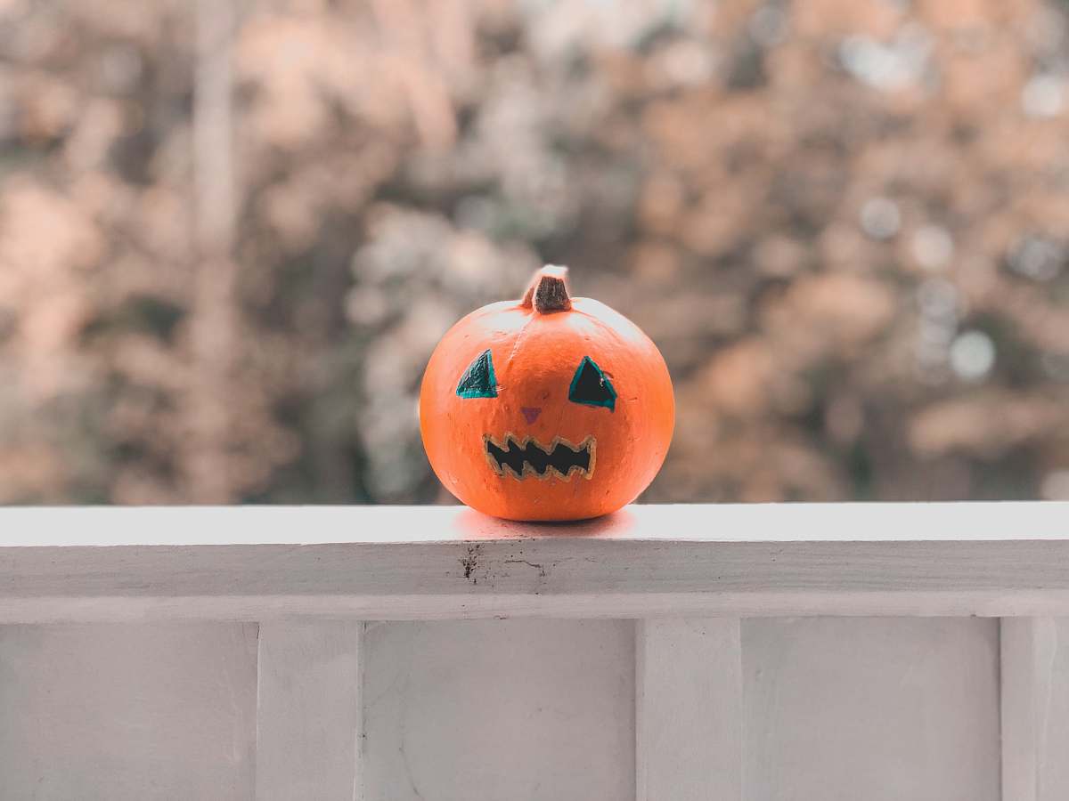 fairfax orange pumpkin va 22030